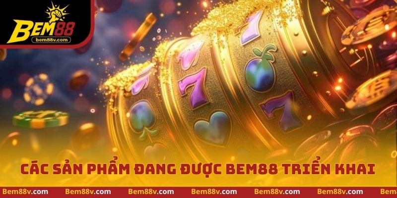 Danh mục sản phẩm tại Bem88 được phân tách theo nhóm chức năng riêng